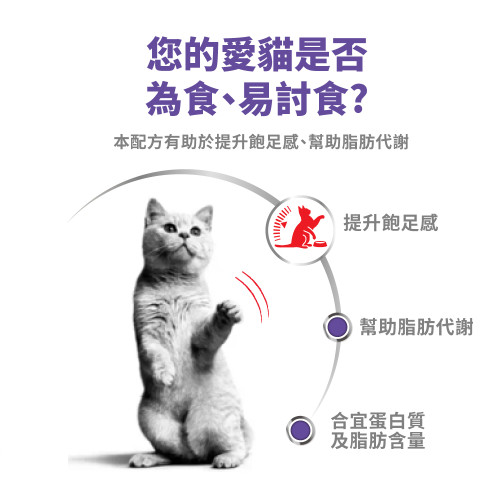 Royal Canin CAT (FCN) Appetite Control Care Adult Cat Airlift Can 85g 皇家AIRLIFT為食成貓加護主食罐 85g (4240700) (原裝行貨) Royal Canin CAT (FCN) Appetite Control Care Adult Cat Airlift Can 85g 皇家AIRLIFT為食成貓加護主食罐 85g (4240700) (原裝行貨)